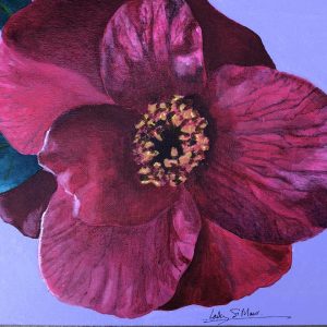 Camellia