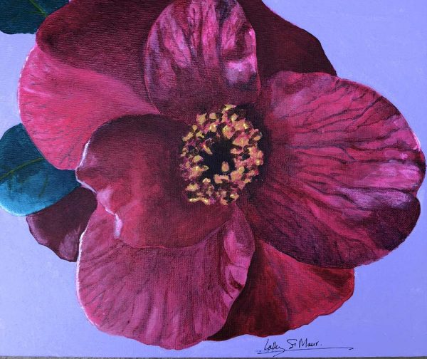 Camellia