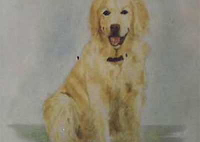 GOLDEN RETRIEVER WATERCOLOUR