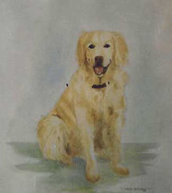 GOLDEN RETRIEVER WATERCOLOUR