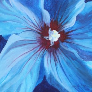 Hibiscus
