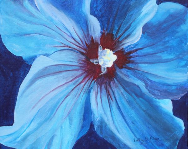Hibiscus