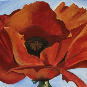 Poppy