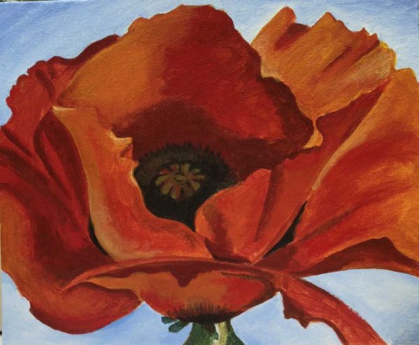 Poppy