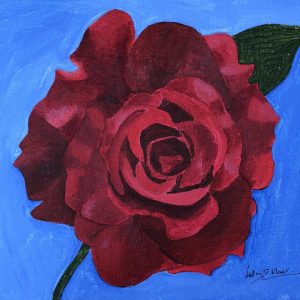 Red rose