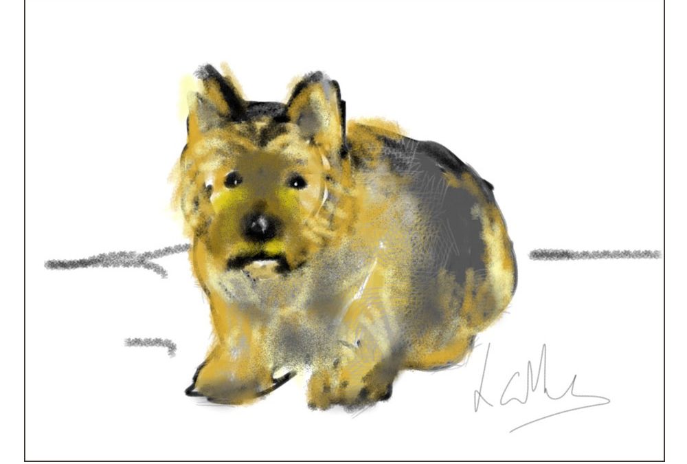 AN IPAD SKETCH OF A PET