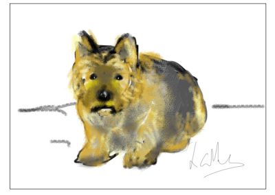 AN IPAD SKETCH OF A PET