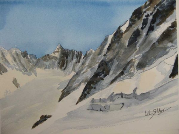Looking towards Mont Dolent, Argentiere